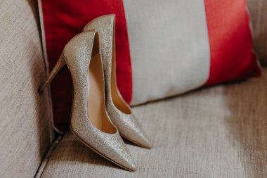 Zarif yüksek topuk Bayan Ayakkabı Divan. Klasik Ayakkabı. Ayakkabı gelinler. Modern tarz. Yatay atış. Moda kavramı