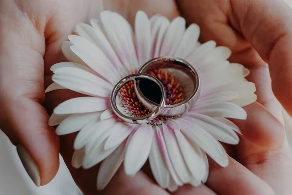 Anillos Plata Contra Flor Las Manos Las Mujeres Primer Plano — Foto de Stock