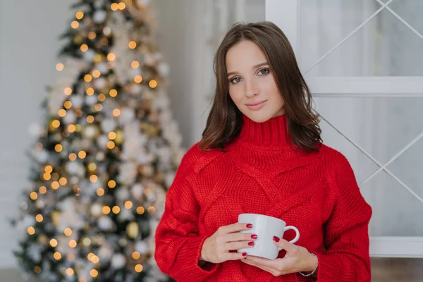Beautiful woman with pleasant appearance and makeup, wears warm knitted winter sweater, holds mug of coffee, stands near decorated New Year tree, plans how to celebrate holiday. Rest concept