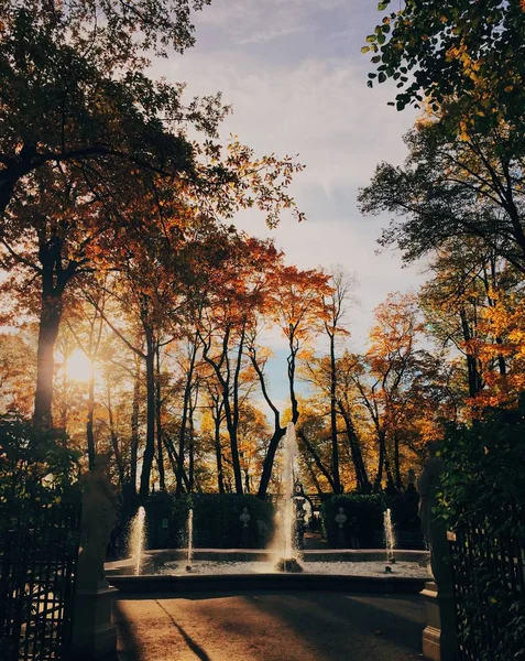 Hermoso Paisaje Parque Otoño Fuente Colores Amarillos Cielo Claro Sol — Foto de Stock