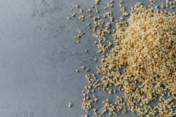 Sobrecarga de trigo sarraceno germinado aislada sobre fondo gris con espacio para copiar. Dieta cruda saludable. Comida ecológica. Brotes o granos — Foto de Stock