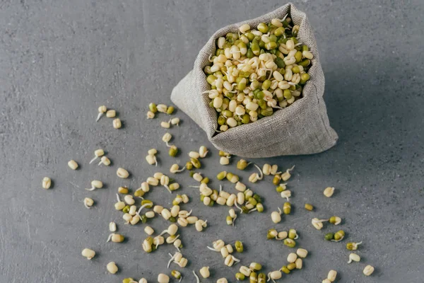Green orgnaic mung beans with sprouts spread near small sack, isolated over grey background. Selective focus. Healthy moong dal — Stock Photo, Image