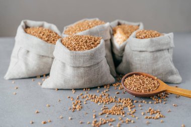 Hayvancılık kavramı. Çuvallarda ham karabuğday, tahta kaşık yakın, bölünmüş tahıllar, gri arka plan üzerinde izole. Kavrulmuş groats veya tahıl