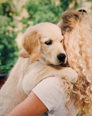 Yüzsüz kıvırcık kadın favori soy köpeği ile açık yaz gezintisi var, ellerde evcil hayvan taşır, sevgi ve bakım ifade eder. Küçük evcil hayvan sahibi ile oynar. İnsanlar ve hayvanlar, dostluk kavramı.