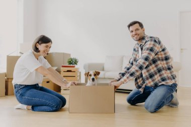 Olumlu milenyum çifti en sevdiği evcil hayvanla oynuyor, yeni bir daireye taşınırken eğleniyor, köpekle karton kutunun yanında duruyor, ev ortamının tadını çıkarıyor, modern evde birlikte yaşıyorlar.