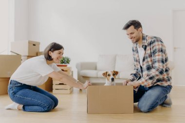 Güzel bir kadının yatay görüntüsü, karton kutuları küçük köpek yavrusuyla koca tarafına götürür, birlikte boş zaman geçirir, yeni modern konutlara taşınır, eşyalarını yerleştirir, modern dairede yeni bir hayata başlar..