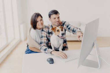 Aile fotoğrafı favori web sitesinden alışveriş yapıyor, birlikte vakit geçiriyorlar, bilgisayar monitörüne odaklanmış komik bir köpek, ortak çalışma alanında oturuyor. Evcil hayvanlara odaklan. Dijital pazarlama