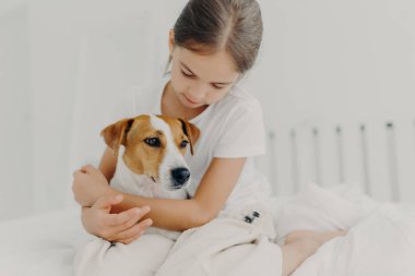 Beyaz tişörtlü, şefkatli küçük bir kızın görüntüsü, küçük soylu bir köpeğe sarılıyor, hayvanlara büyük bir sevgi besliyor, beyaz odada yatakta poz veriyor, ev ortamından hoşlanıyor. En sevdiği evcil hayvanı olan