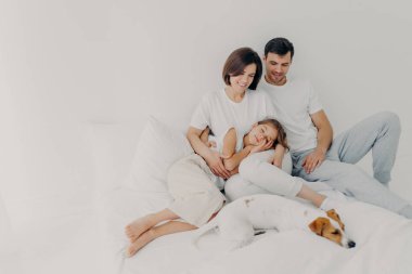 Güzel bir ailenin fotoğrafı birlikte boş zaman geçirir, uzun süre yatakta kalır, sağlıklı bir uyku çeker, soylu köpek sahiplerinin yanında yatar, rahatlığın ve rahatlığın tadını çıkarır, tanıtım için arka planda boş bir alan olur.