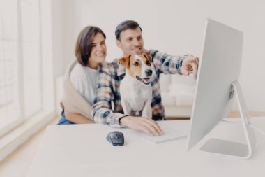 Memnun genç kadın ve erkek bilgisayar içeriğini izliyor, monitör ekranına işaret ediyor, komik videolar izliyor, köpeğe odaklanıyor, beyaz masaüstünde poz veriyor, web sitesinde film arıyor, yeni bir başlangıç projesi geliştiriyor