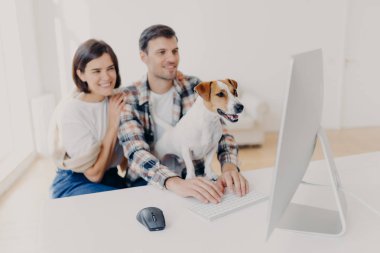 Olumlu genç eş ve koca internet üzerinden yayınları okuyor, bilgisayarın başına oturuyor, favori film ya da filmi evcil hayvanla birlikte izliyor. Hayvanlara odaklan. Çiftler modern teknolojilerle zaman geçirirler.