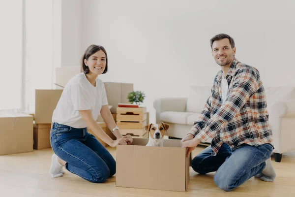 Positivo Marido Feliz Esposa Pie Rodillas Cerca Caja Cartón Con — Foto de Stock