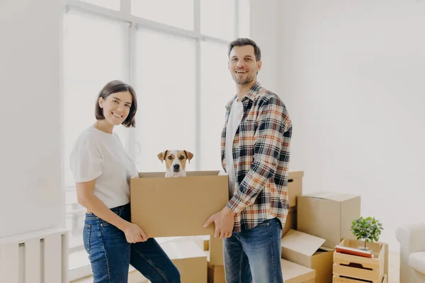 Glad Familj Par Hålla Kartong Med Liten Valp Stå Inomhus — Stockfoto