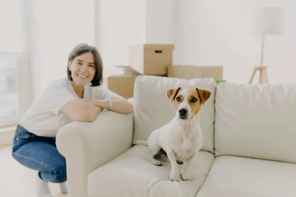 Donna Felice Gioca Con Animale Domestico Preferito Posa Vicino Divano — Foto Stock