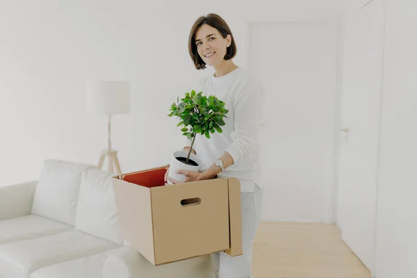 Agradable Morena Joven Mujer Desempacar Pertenencias Caja Cartón Tiene Planta — Foto de Stock