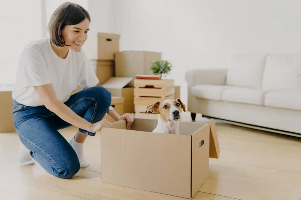 Inomhus Skott Nöjd Brunett Kvinna Klädd Vit Skjorta Och Jeans — Stockfoto