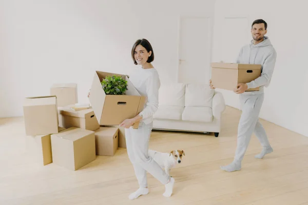 Photo Happy Smiling Brunette Woman Her Husband Carry Cardboard Boxes — Stock Photo, Image
