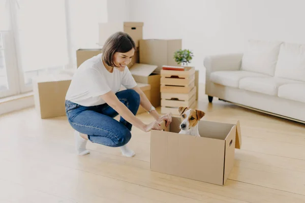 New Home Moving Day Relocation Concept Positive Brunette Woman Plays — Stock Photo, Image