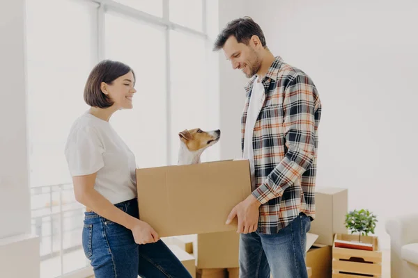 Satisfied Lovely Family Couple Carry Carton Box Domestic Pet Move — Stock Photo, Image