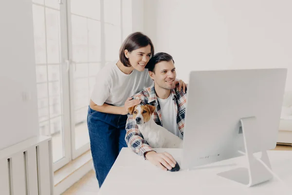 幸福的年轻夫妇专注于现代计算机 一起购物或观看视频 在客厅的公寓里呆上一段时间 家犬在男性膝上摆姿势 合作的形象 — 图库照片
