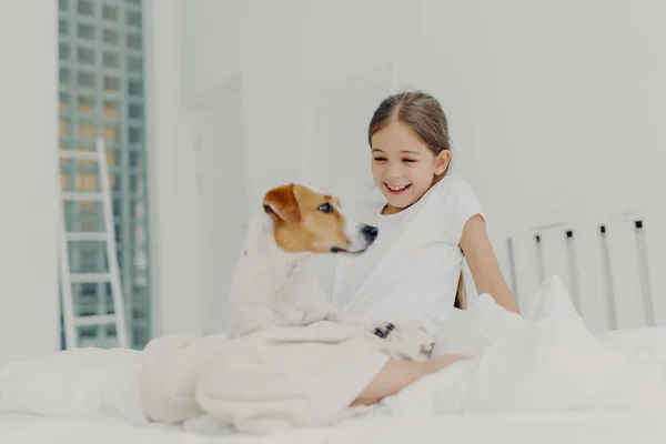 Positivo bambina gioca con l'animale domestico pedigree, vestito in pigiama bianco, trascorre il tempo libero a letto, si diverte in camera da letto sorride felicemente. Cane posa vicino al suo piccolo proprietario bambino. Bambini, animali e tempo libero — Foto Stock