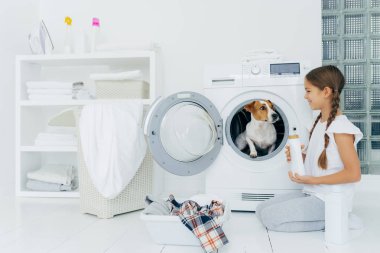Pozitif küçük kız Jack Russell Terrier ile eğleniyor, çamaşır odasında çamaşır makinesinin yanında poz veriyor, sıvı tozu tutuyor, ev işleriyle meşgul, mutlu bir ifadesi var. Banyoda rahat bir iç mekan.
