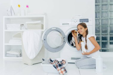 Çamaşır makinesinde soylu köpekleri okşayan, çamaşır deterjanı tutan, çamaşır makinesini dolduran, çamaşır ve ev işleriyle meşgul olan, evde çamaşır yıkayan, evde poz veren çekici bir kızın fotoğrafı..