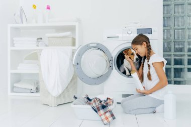 Küçük çocuk köpek Russell Terrier ile oynuyor, çamaşır makinesinin yanında dizlerinin üzerinde duruyor, temizlik ve çamaşır yıkamakla meşgul, beyaz şişe tutuyor, evde rahat kıyafetler giyiyor..