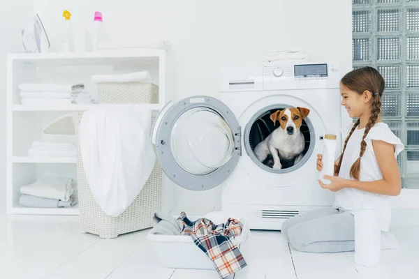 Niña alegre se pone de rodillas con detergente de lavado, posa cerca de la lavadora, mira felizmente a su mascota favorita dentro de la lavadora, va a lavar la ropa en casa, pasa tiempo libre con el perro — Foto de Stock