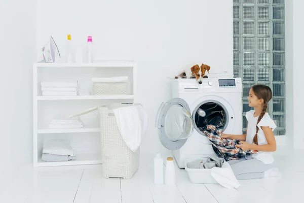 Limpeza, crianças e tarefas domésticas conceito. Criança feliz descarrega máquina de lavar roupa, coloca roupas lavadas limpas na bacia, olhares de cão curiosos de cima, mentiras na máquina de lavar roupa na lavanderia em casa — Fotografia de Stock