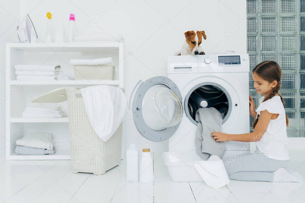 Busy little pretty girl does laundry at home, poses on knees near washing machine, uses liquid powder, pedigree dog on top of washer, looks at small female host householder. Housekeeping concept