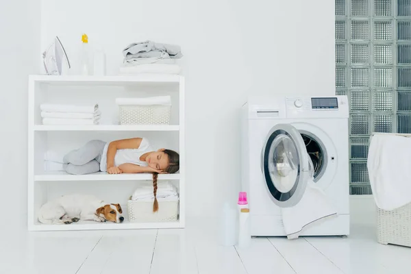 Kryty strzał małej dziewczynki ma sen na konsoli z ulubionym psem, ma odpoczynek w pralni z pralką wypełnioną bielizną, butelki z detergentem. Dzieci, zmęczenie i praca w domu. — Zdjęcie stockowe