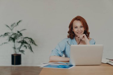 Neşeli seksi kadın girişimci iş ortaklarıyla internette sohbet ediyor, başlangıç projesinde çalışıyor, iş yerinde poz veriyor, etrafını kağıt belgeler, beyaz duvar ve arka planda saksı çiçekleri ile çevrili.