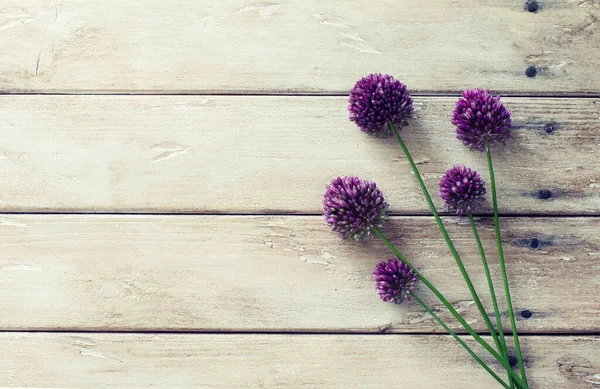 Allium Flowers Natural Wooden Background Flat Lay Copy Space — Stock Photo, Image