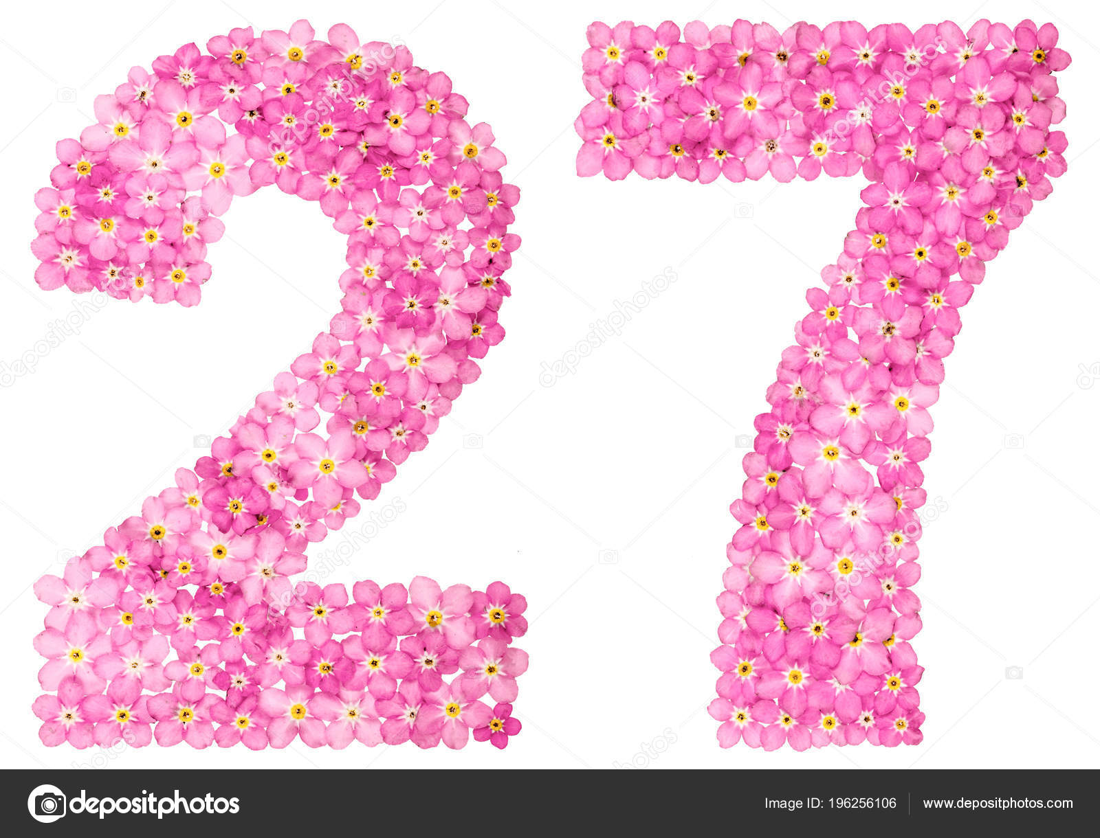 Arabic Numeral Twenty Seven Pink Forget Flowers Isolated White