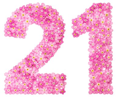 Arabic numeral 21, twenty one, from pink forget-me-not flowers, isolated on white background clipart