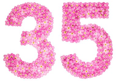 Arapça Beyaz arka plan üzerinde izole rakamı 35, pembe unutma çiçekler, üzerinden otuz beş