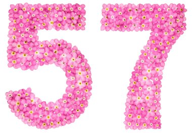 Arapça Beyaz arka plan üzerinde izole rakamı 57, pembe unutma çiçekler, üzerinden elli yedi