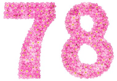 Arapça Beyaz arka plan üzerinde izole rakamı 78, pembe unutma çiçekler, üzerinden yetmiş sekiz