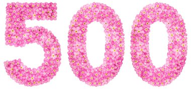 Arapça Beyaz arka plan üzerinde izole rakamı 500, pembe unutma çiçekler, üzerinden beş yüz