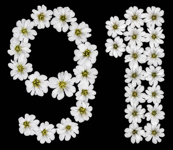 Arabisch Cijfer Één Van Negentig Negentig Negen Ene Witte Bloemen — Stockfoto