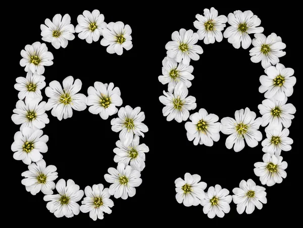 Arabic Numeral Sixty Nine Sixty Six Nine White Flowers Cerastium — Stock Photo, Image
