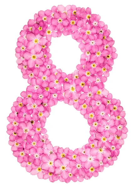Arabic numeral 8, eight, from pink forget-me-not flowers, isolated on white background