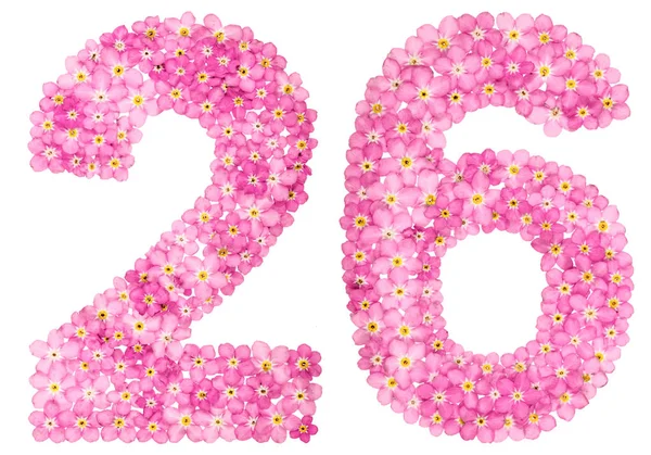 Arabic Numeral Twenty Six Pink Forget Flowers Isolated White Background — Stock Photo, Image