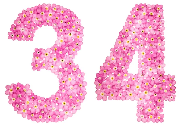 Números Arábigos Treinta Cuatro Flores Rosadas Que Olvidan Aisladas Sobre — Foto de Stock