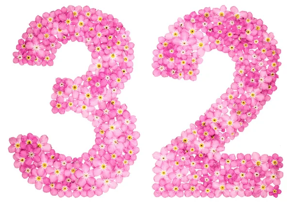 Arabic Numeral Thirty Two Pink Forget Flowers Isolated White Background — Stock Photo, Image