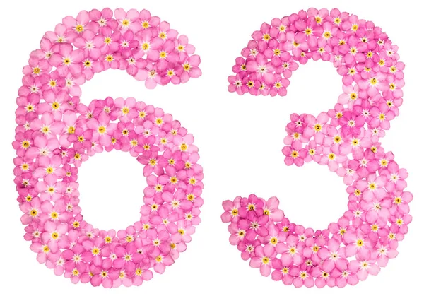 Арабская Цифра Шестьдесят Три Розовых Незабудка Цветы Изолированные Белом Фоне — стоковое фото