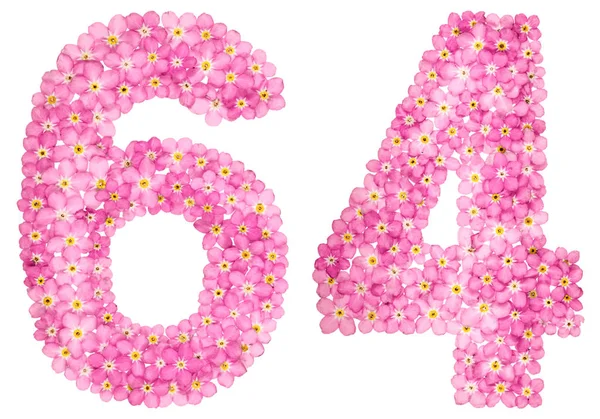 Arabská Číslice Šedesát Čtyři Květů Růžová Pomněnka Izolované Bílém Pozadí — Stock fotografie