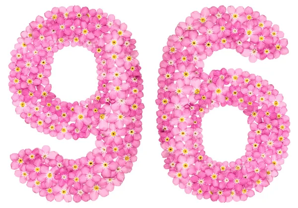 Арабская Цифра Девяносто Шесть Розовых Цветков Незабудки Изолированных Белом Фоне — стоковое фото