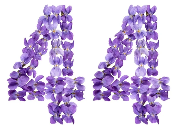 Numeral Árabe Quarenta Quatro Partir Flores Viola Isolado Sobre Fundo — Fotografia de Stock